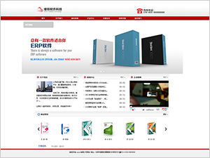 軟件公司網(wǎng)站模板,軟件企業(yè)網(wǎng)站建設(shè)