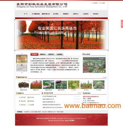 襄陽(yáng)專業(yè)網(wǎng)站建設(shè)就找優(yōu)網(wǎng)科技,襄陽(yáng)專業(yè)網(wǎng)站建設(shè)就找優(yōu)網(wǎng)科技生產(chǎn)廠家,襄陽(yáng)專業(yè)網(wǎng)站建設(shè)就找優(yōu)網(wǎng)科技價(jià)格